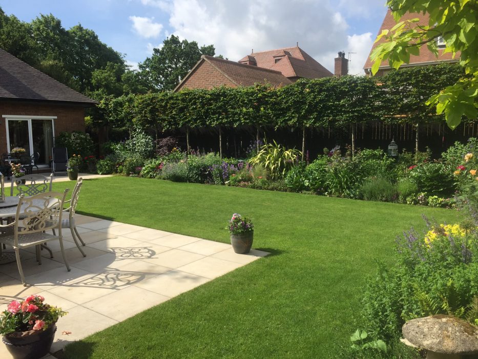 08 simple garden plants border pleached hedge patio welch landscape design