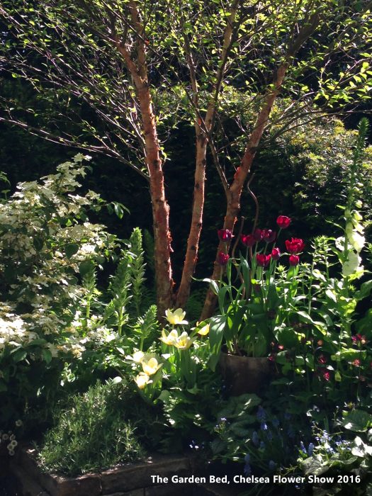 07 Chelsea Flower Show 2016 Garden Bed