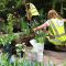 25-chelsea-flower-show-2016-garden-bed-planting