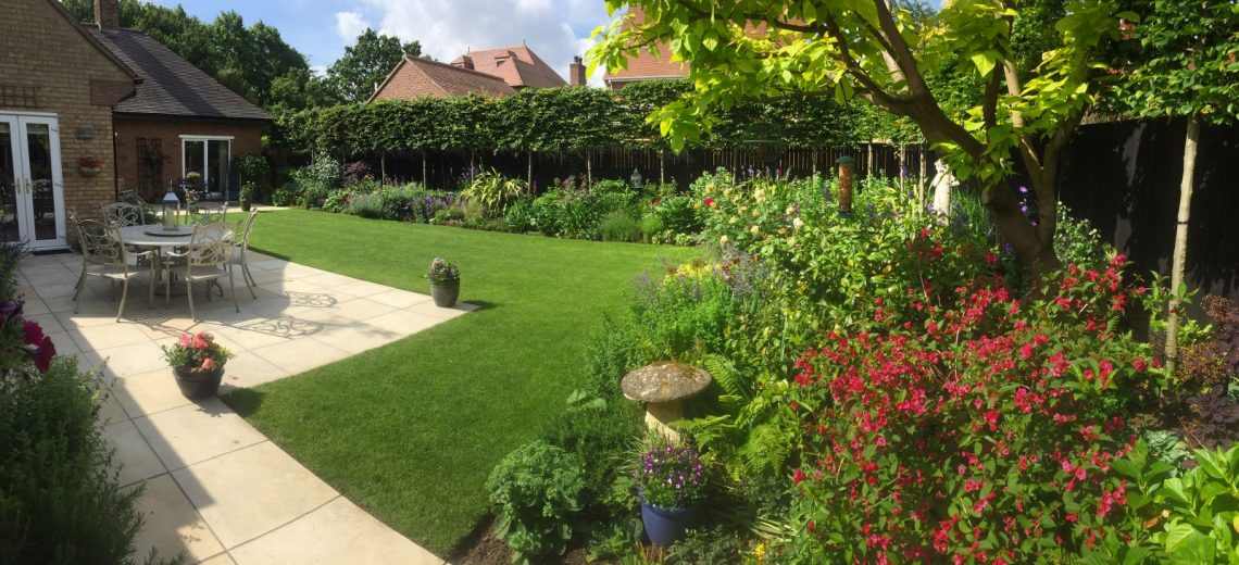 06 simple garden patio border pleached hedge welch landscape design_1600x730