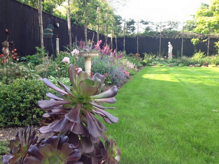 08 simple garden pleached hedge lawn planting border welch landscape design