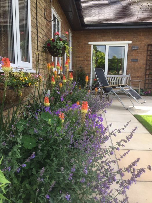 10 simple garden plants border path Kniphofia red hot poker Nepeta catmint welch landscape design