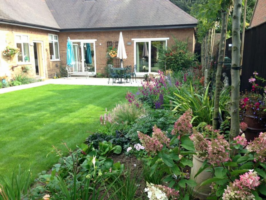 12 simple garden border pleached hedge lawn