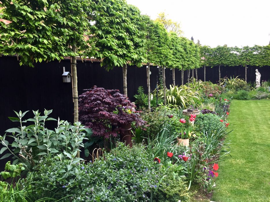 19 simple garden pleached hedge black wooden fence border planting statue Acer welch landscape design