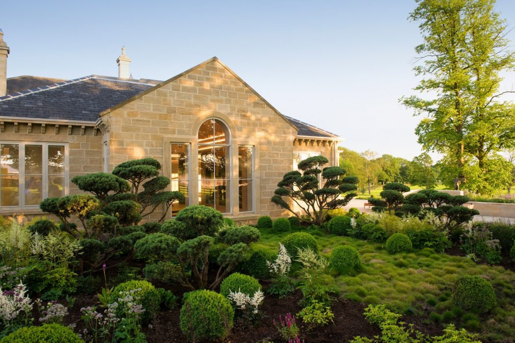cloud pine topiaary flowing colourful welch landscape design