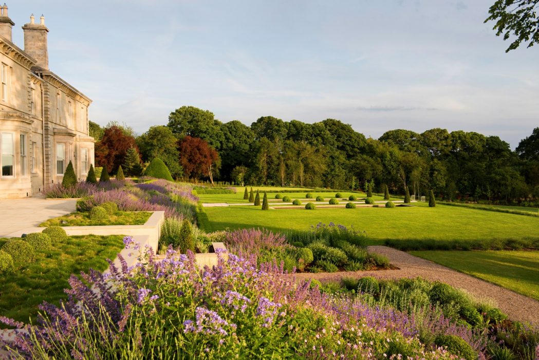lavender grasses lawn flowing colourful welch landscape design