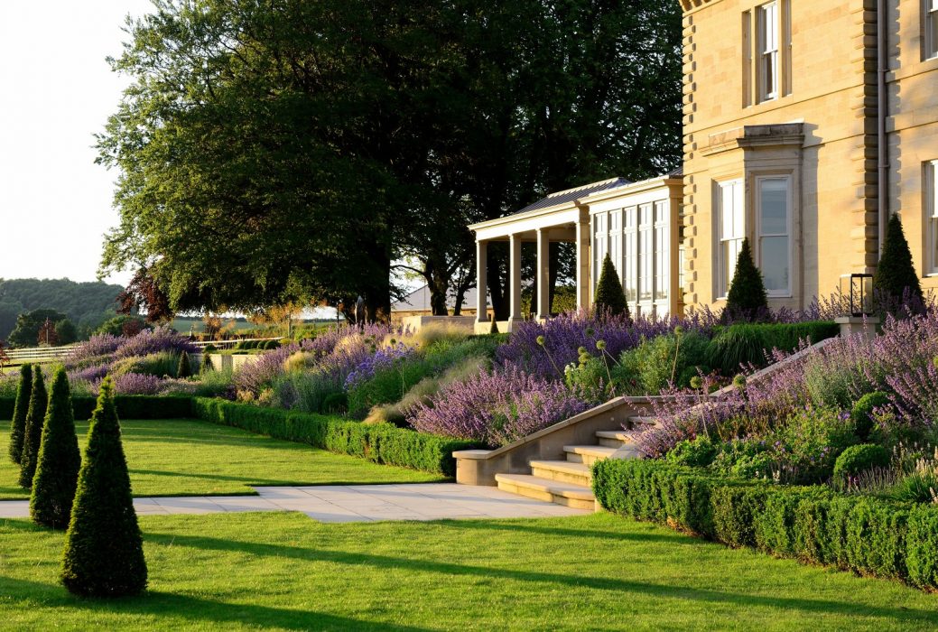lavender topiary steps flowing colourful welch landscape design