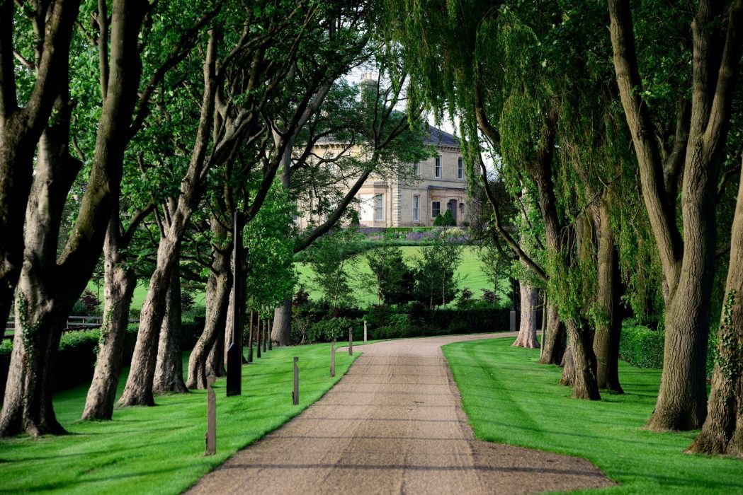 tree avenue flowing colourful welch landscape design
