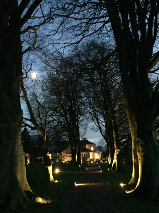 trees lit up avenue flowing colourful welch landscape design